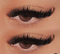 Lash Map #12 E Book